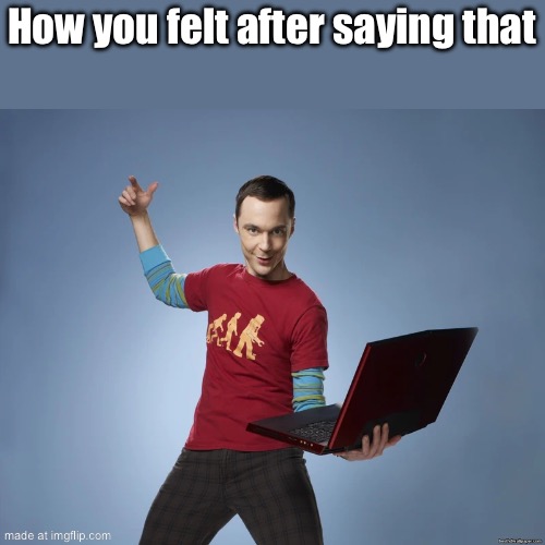 sheldon cooper laptop | How you felt after saying that | image tagged in sheldon cooper laptop | made w/ Imgflip meme maker