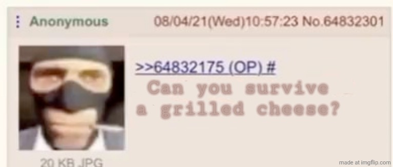 does she know how to make a grilled cheese | Can you survive a grilled cheese? | image tagged in does she know how to make a grilled cheese | made w/ Imgflip meme maker