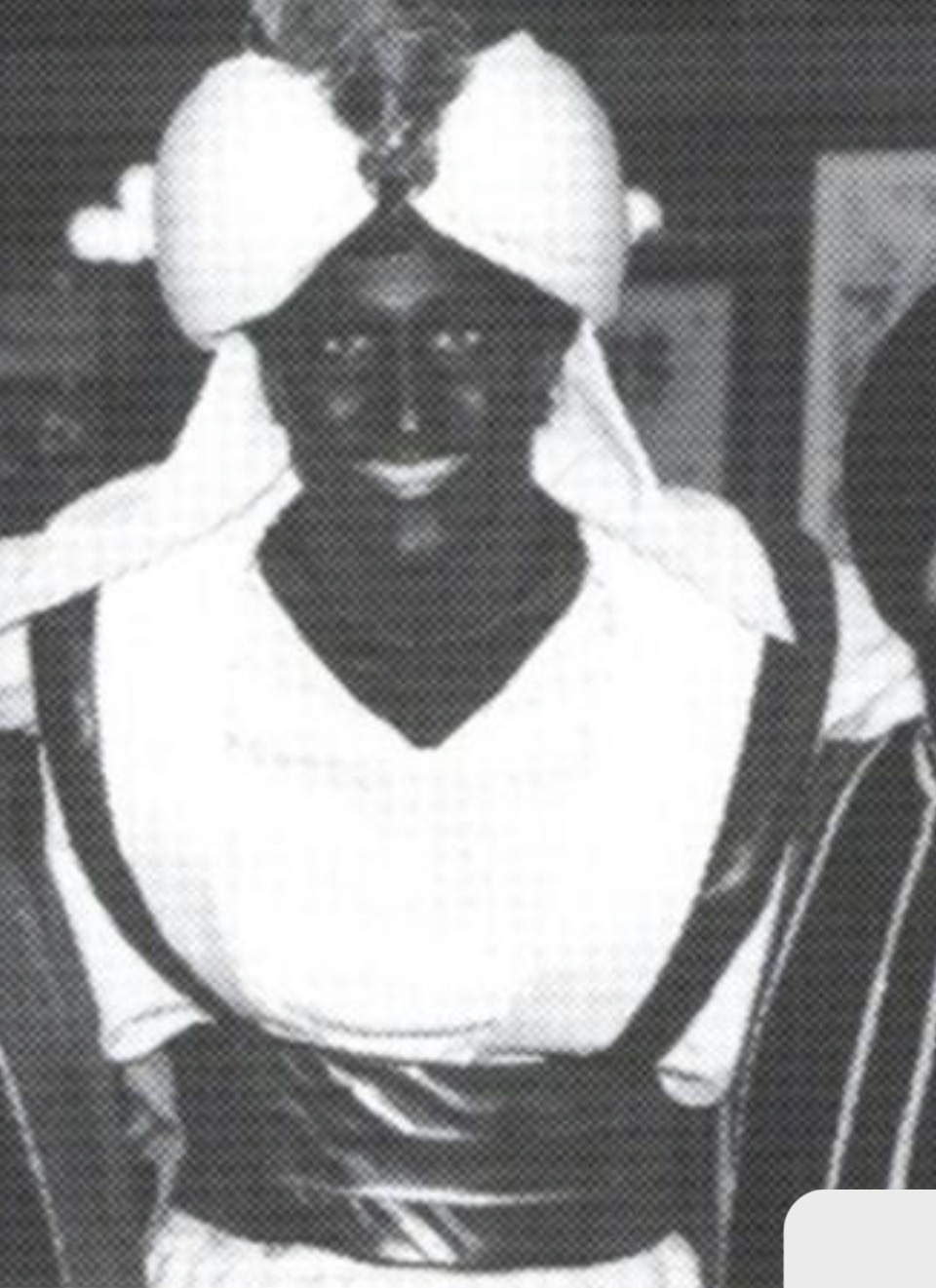 Brownie Blank Meme Template