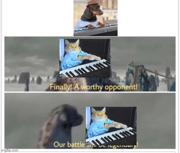 Piano Cat VS Piano Dog? | image tagged in finally a worthy opponent | made w/ Imgflip meme maker