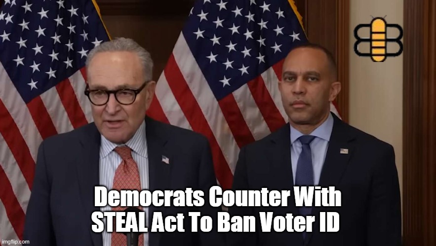 Democrats Counter With STEAL Act To Ban Voter ID | made w/ Imgflip meme maker