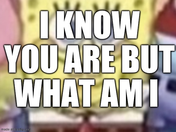 I KNOW YOU ARE BUT WHAT AM I | made w/ Imgflip meme maker