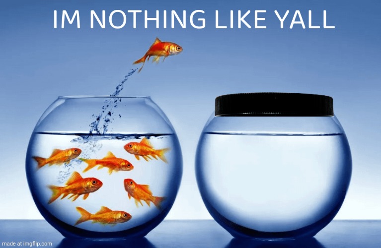 I’m nothin like yall | image tagged in i m nothin like yall | made w/ Imgflip meme maker