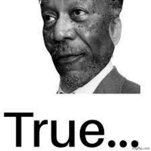 Morgan Freeman True | image tagged in morgan freeman true | made w/ Imgflip meme maker