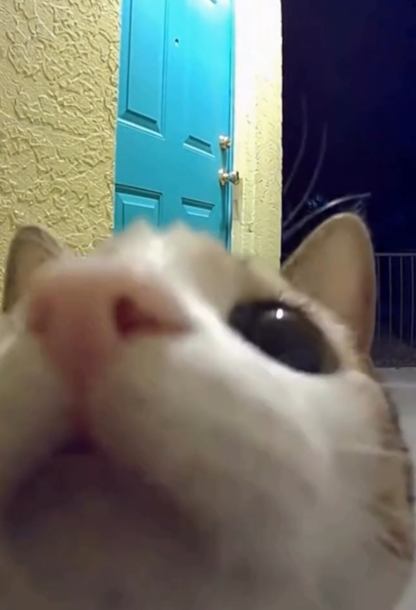 ue Blank Meme Template