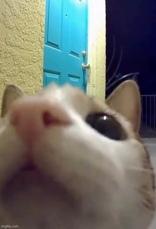 ue | image tagged in ue | made w/ Imgflip meme maker