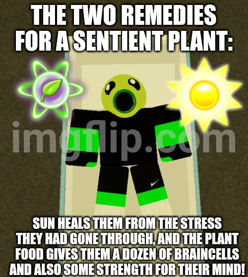 As someone that cosplays a sentient plant on roblox [mod note: DAS COOL] | THE TWO REMEDIES FOR A SENTIENT PLANT:; SUN HEALS THEM FROM THE STRESS THEY HAD GONE THROUGH, AND THE PLANT FOOD GIVES THEM A DOZEN OF BRAINCELLS AND ALSO SOME STRENGTH FOR THEIR MIND! | image tagged in roblox | made w/ Imgflip meme maker