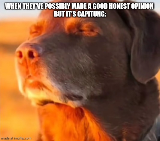 Dog Taking Sun with Closed Eyes | WHEN THEY'VE POSSIBLY MADE A GOOD HONEST OPINION 
BUT IT'S CAPITUNG: | image tagged in dog taking sun with closed eyes | made w/ Imgflip meme maker