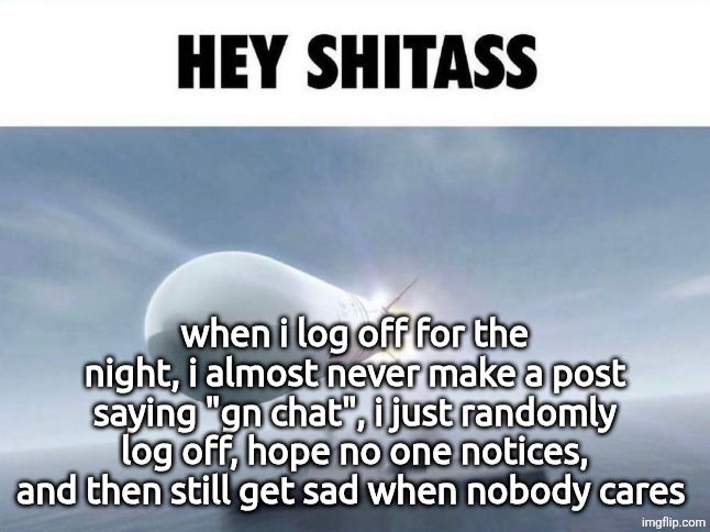 HEY SHITASS | when i log off for the night, i almost never make a post saying "gn chat", i just randomly log off, hope no one notices, and then still get sad when nobody cares | image tagged in hey shitass | made w/ Imgflip meme maker