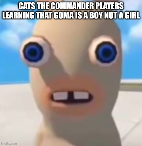 But he looks like a girl tho | CATS THE COMMANDER PLAYERS LEARNING THAT GOMA IS A BOY NOT A GIRL | image tagged in idiot rabbid | made w/ Imgflip meme maker