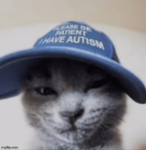 cat autism | image tagged in cat autism | made w/ Imgflip meme maker