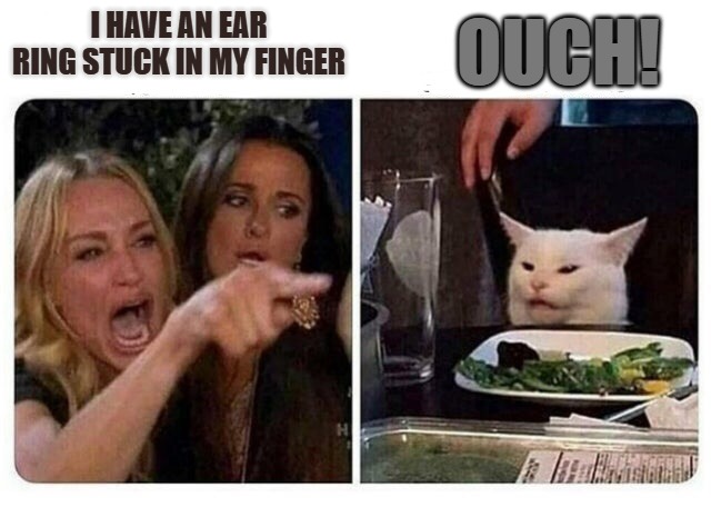 Cat at Dinner | OUCH! I HAVE AN EAR RING STUCK IN MY FINGER | image tagged in cat at dinner | made w/ Imgflip meme maker