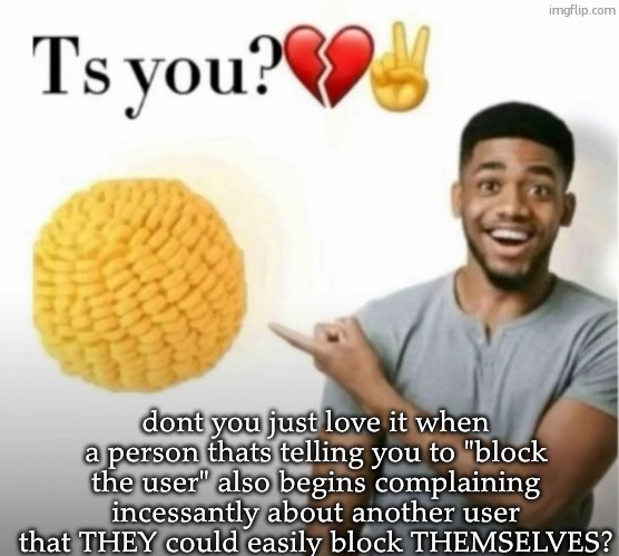 ts you? | dont you just love it when a person thats telling you to "block the user" also begins complaining incessantly about another user that THEY could easily block THEMSELVES? | image tagged in ts you | made w/ Imgflip meme maker