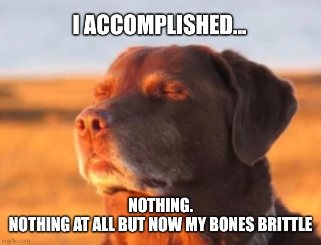 Dog accepting fate | I ACCOMPLISHED... NOTHING.
NOTHING AT ALL BUT NOW MY BONES BRITTLE | image tagged in dog accepting fate | made w/ Imgflip meme maker