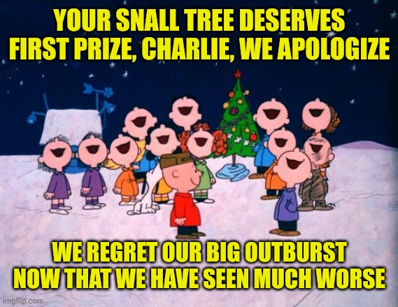 Charlie Brown Christmas  | YOUR SNALL TREE DESERVES FIRST PRIZE, CHARLIE, WE APOLOGIZE WE REGRET OUR BIG OUTBURST
NOW THAT WE HAVE SEEN MUCH WORSE | image tagged in charlie brown christmas | made w/ Imgflip meme maker