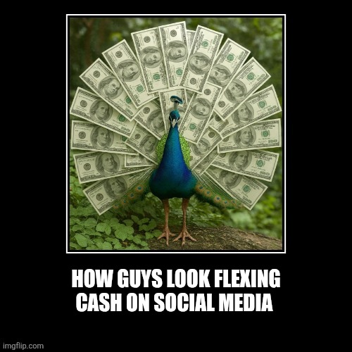 Peacocks flexing cash | HOW GUYS LOOK FLEXING
CASH ON SOCIAL MEDIA | image tagged in nature,flex,cash,social media,dating | made w/ Imgflip meme maker