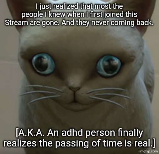 Why did it take me like two years. | I just realized that most the people I knew when I first joined this Stream are gone. And they never coming back. [A.K.A. An adhd person finally realizes the passing of time is real.] | made w/ Imgflip meme maker
