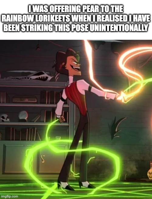 Alastor making deal with rosie | I WAS OFFERING PEAR TO THE RAINBOW LORIKEETS WHEN I REALISED I HAVE BEEN STRIKING THIS POSE UNINTENTIONALLY | image tagged in alastor making deal with rosie | made w/ Imgflip meme maker