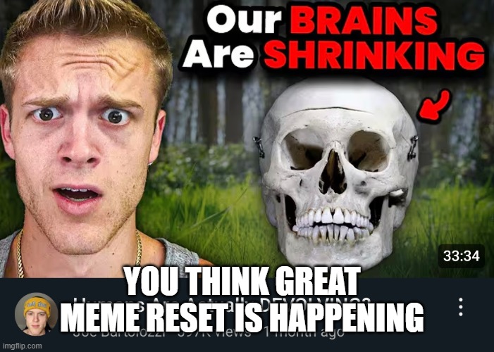 cry to your big chungus body pillow@Lucien_Carreno_-CURRENT | YOU THINK GREAT MEME RESET IS HAPPENING | image tagged in our brains are shrinking | made w/ Imgflip meme maker