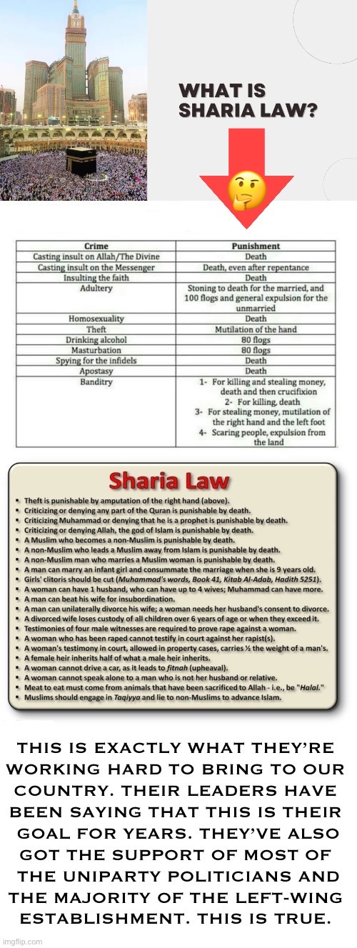 But, according to the left, it’s the Christians who are the real “extremists”… | 🤔 | image tagged in political meme,sharia law,what is it,islam,harsh,not peaceful | made w/ Imgflip meme maker