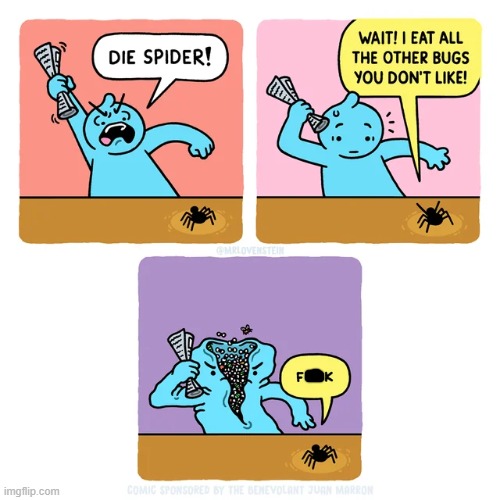 image tagged in newspaper,spider,die,bugs,disguise,uh oh | made w/ Imgflip meme maker