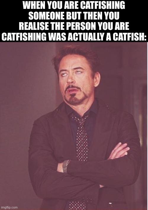 Face You Make Robert Downey Jr Meme | WHEN YOU ARE CATFISHING SOMEONE BUT THEN YOU REALISE THE PERSON YOU ARE CATFISHING WAS ACTUALLY A CATFISH: | image tagged in memes,face you make robert downey jr | made w/ Imgflip meme maker