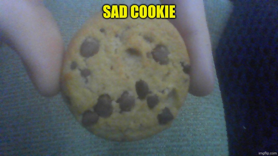sad cookie | SAD COOKIE | image tagged in sad cookie | made w/ Imgflip meme maker