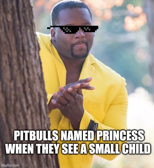 Black guy hiding behind tree | PITBULLS NAMED PRINCESS WHEN THEY SEE A SMALL CHILD | image tagged in black guy hiding behind tree | made w/ Imgflip meme maker