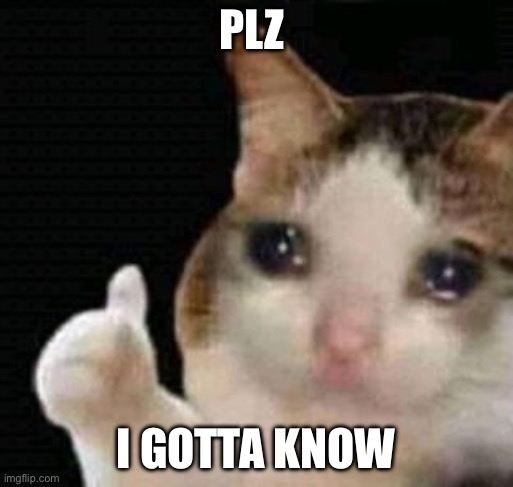 sad thumbs up cat | PLZ I GOTTA KNOW | image tagged in sad thumbs up cat | made w/ Imgflip meme maker