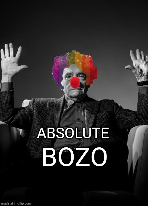 How would someone use this? | ABSOLUTE; BOZO | image tagged in absolute cinema blank | made w/ Imgflip meme maker