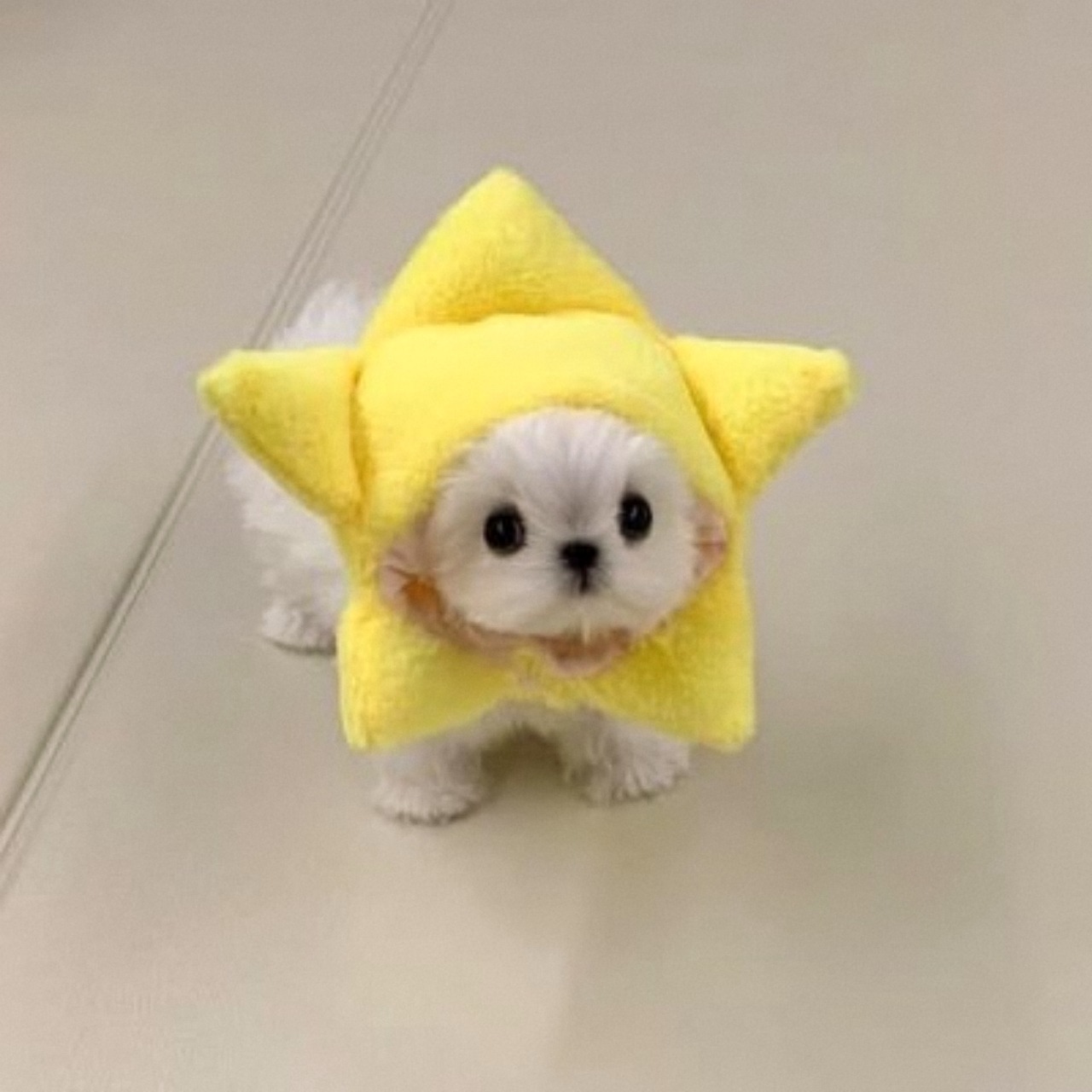 omg noah Blank Meme Template