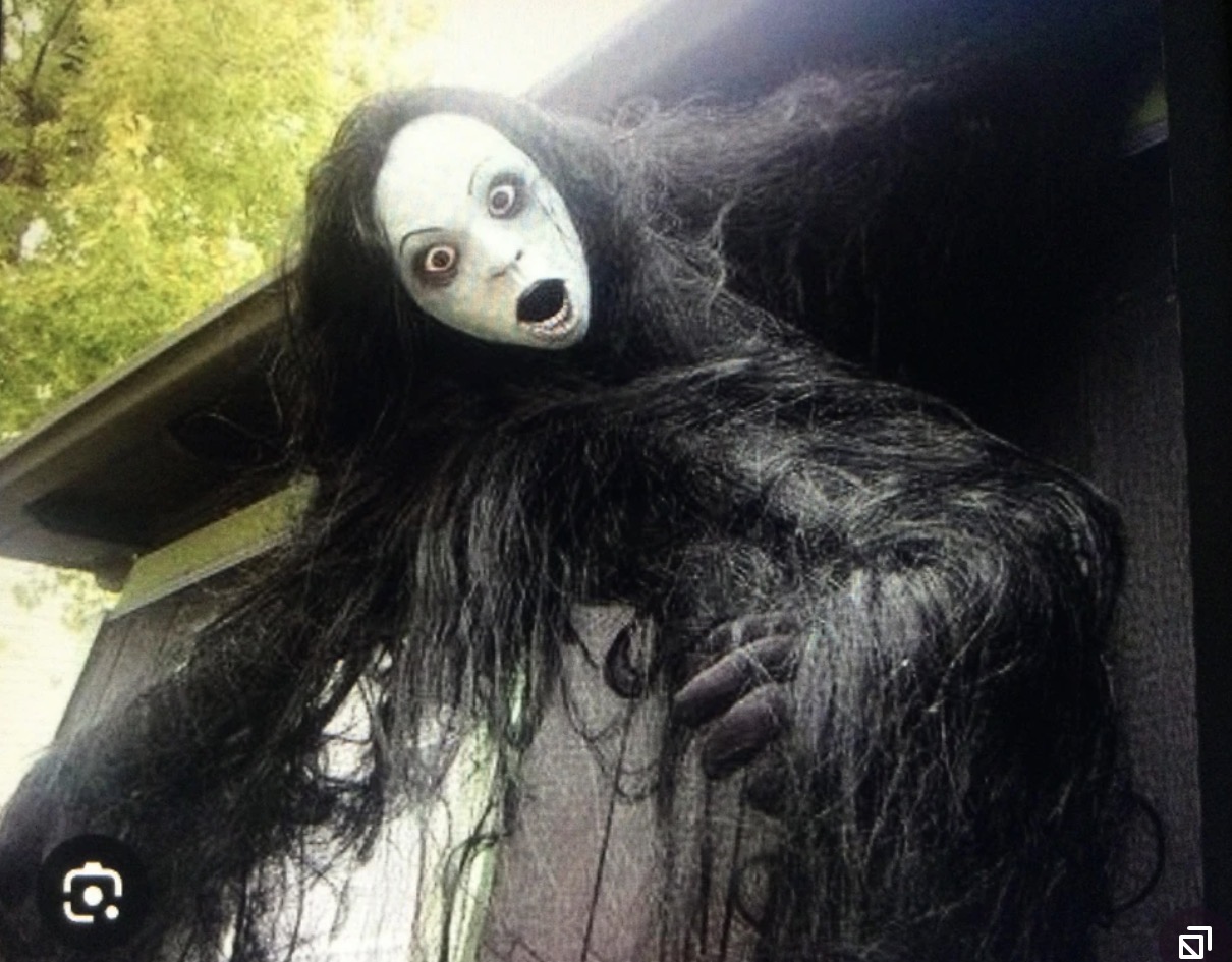 Grudge girl Blank Meme Template