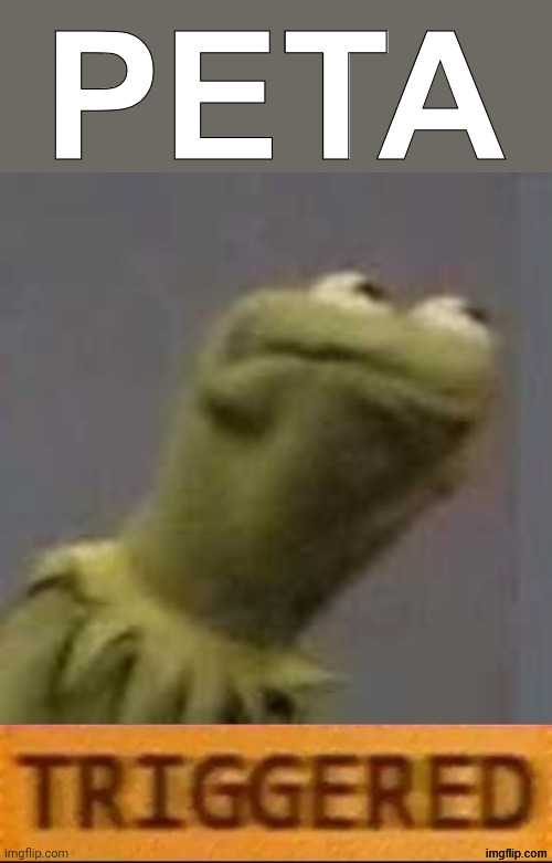 Kermit Triggered | PETA | image tagged in kermit triggered | made w/ Imgflip meme maker