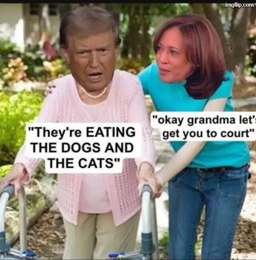 okay grandma, let's get you to court | made w/ Imgflip meme maker