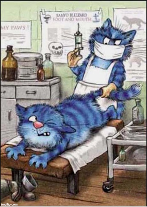 This Needs A Good Title | image tagged in cats,cartoon,vets,injection,title | made w/ Imgflip meme maker