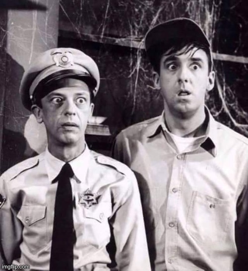 Barney n Gomer | image tagged in barney n gomer | made w/ Imgflip meme maker