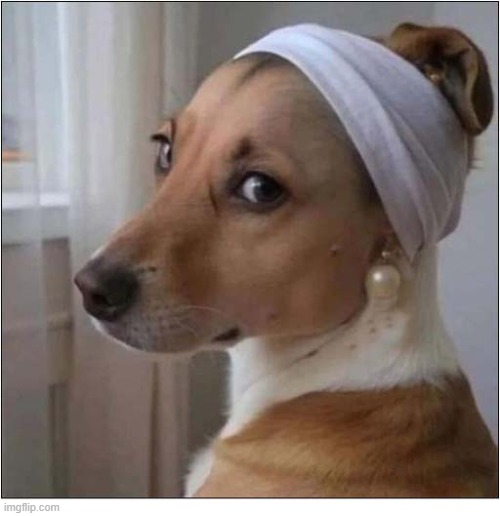 The Dog With A Pearl Earring | image tagged in dogs,portrait,vermeer | made w/ Imgflip meme maker
