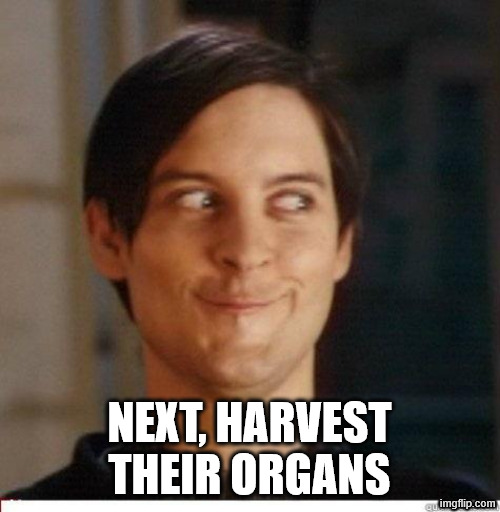 Toby Maguire | NEXT, HARVEST THEIR ORGANS | image tagged in toby maguire | made w/ Imgflip meme maker