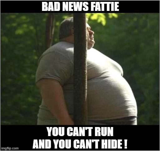 At The Hide And Seek Championships ... | BAD NEWS FATTIE; YOU CAN'T RUN AND YOU CAN'T HIDE ! | image tagged in obese,hide and seek,fail | made w/ Imgflip meme maker