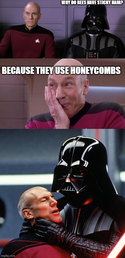 picard honey comb vader | WHY DO BEES HAVE STICKY HAIR? BECAUSE THEY USE HONEYCOMBS | image tagged in picard vader,picard oops,vader picard | made w/ Imgflip meme maker