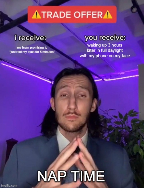 Trade Offer | my brain promising to "just rest my eyes for 5 minutes"; waking up 3 hours later in full daylight with my phone on my face; NAP TIME | image tagged in trade offer | made w/ Imgflip meme maker