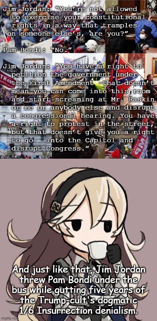 "Oopsie Pt. 2: The Wreckening" *OR* "Chalk one up in the 'Trump-cultists aren't self-aware' column" *OR* "Yup... that happened." | Jim Jordan: “You’re not allowed
  to exercise your constitutional
  rights in a way that tramples
 on someone else’s, are you?”
 
Pam Bondi: “No.”
 
Jim Jordan: “You have a right to
  petition the government under
  the First Amendment -that doesn’t
  mean you can come into this room
  and start screaming at Mr. Raskin
  or me or anybody else and disrupt
  a congressional hearing. You have
  a right to protest in the street,
  but that doesn’t give you a right
  to go   into the Capitol and
  disrupt Congress.”; And just like that, Jim Jordan
threw Pam Bondi under the
bus while gutting five years of
the Trump-cult's dogmatic
1/6 Insurrection denialism. | image tagged in jim jordan,pam bondi,ooops,wow you failed this job,lolz | made w/ Imgflip meme maker