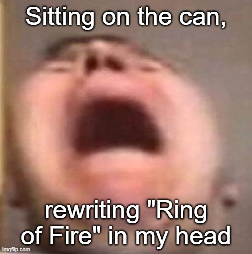 . | Sitting on the can, rewriting "Ring of Fire" in my head | image tagged in pain | made w/ Imgflip meme maker