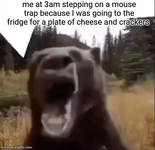 Fedy Faber | me at 3am stepping on a mouse trap because I was going to the fridge for a plate of cheese and crackers | image tagged in fedy faber | made w/ Imgflip meme maker