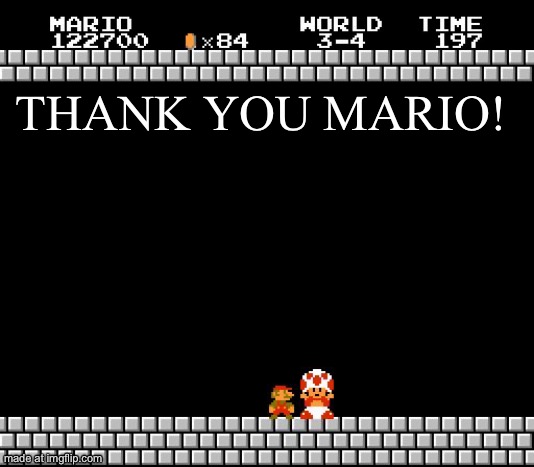 Thank You Mario | THANK YOU MARIO! | image tagged in thank you mario | made w/ Imgflip meme maker