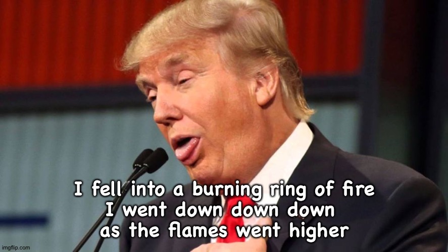 Stupid trump | I fell into a burning ring of fire
I went down down down 
as the flames went higher | image tagged in stupid trump | made w/ Imgflip meme maker