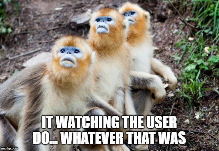 IT support when they see what you just did. | IT WATCHING THE USER DO… WHATEVER THAT WAS | image tagged in tech support | made w/ Imgflip meme maker