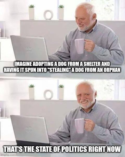 Hide the Pain Harold | IMAGINE ADOPTING A DOG FROM A SHELTER AND HAVING IT SPUN INTO "STEALING" A DOG FROM AN ORPHAN; THAT'S THE STATE OF POLITICS RIGHT NOW | image tagged in memes,hide the pain harold | made w/ Imgflip meme maker