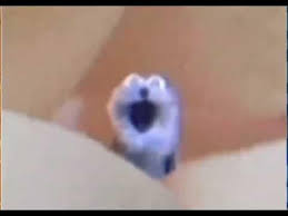 screaming blue thing Blank Meme Template