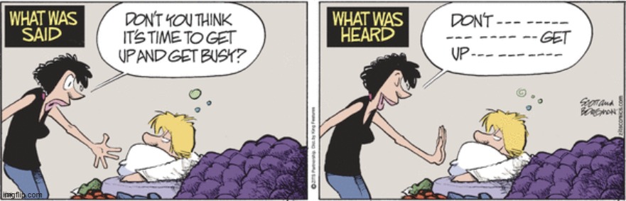 Zits | image tagged in comics | made w/ Imgflip meme maker